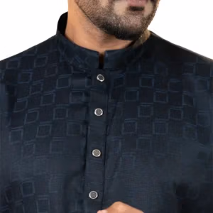 Exclusive Panjabi